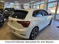 Volkswagen Polo VI 2.0 GTI IQ.Drive LED, Navi, SHZ, Sport Weiß - thumbnail 7