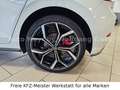 Volkswagen Polo VI 2.0 GTI IQ.Drive LED, Navi, SHZ, Sport Weiß - thumbnail 10