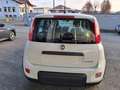 Fiat Panda Km/0 Nessun obbligo finanziario!! Bianco - thumbnail 3