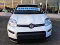 Fiat Panda Km/0 Nessun obbligo finanziario!! Blanc - thumbnail 5
