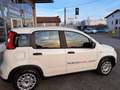 Fiat Panda Km/0 Nessun obbligo finanziario!! Blanc - thumbnail 4