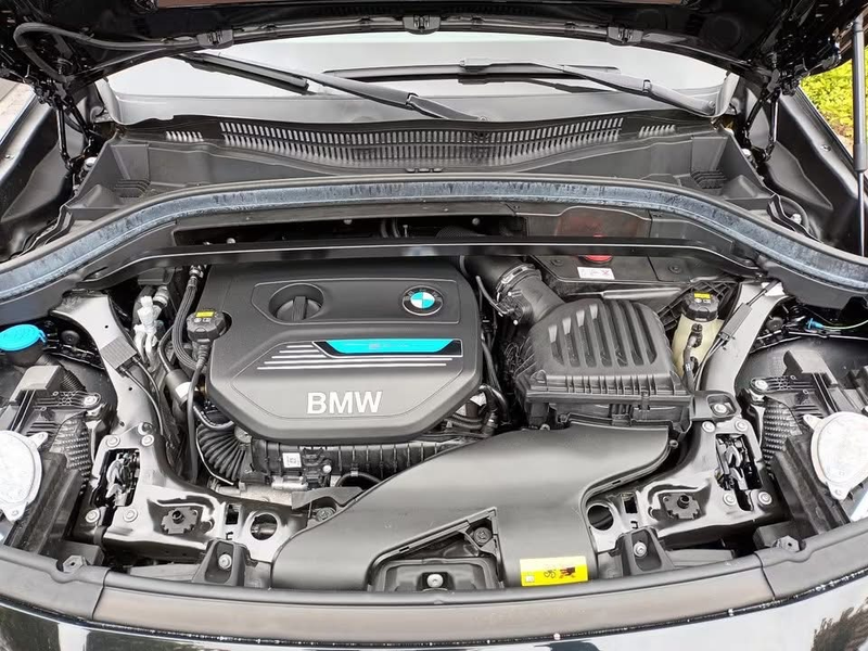 BMW X2 xDrive25e High Executive M Sport Panoramadak Leder — photo 5