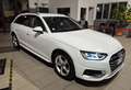 Audi A4 A4 2022 2.0 tdi Business Advanced 204cv s-tronic Blanc - thumbnail 3