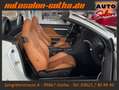 Alfa Romeo Spider 2.2 JTS 16V XENON+NAVI LEDER SCHECKHEFT Weiß - thumbnail 15