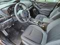 Subaru Forester Style Xtra e-Boxer AWD CVT Marrón - thumbnail 8