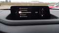 Mazda CX-30 e-Skyactive G140 Exclusive-Line Aut. Rot - thumbnail 10