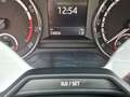 Skoda Octavia Combi RS Bianco - thumbnail 12