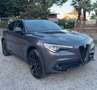 Alfa Romeo Stelvio 2.2 t B-Tech Q4 210cv auto Grigio - thumbnail 6
