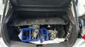 Ford Focus Easy 1,0 EcoBoost Weiß - thumbnail 11