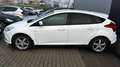 Ford Focus Easy 1,0 EcoBoost Weiß - thumbnail 3