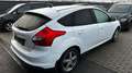 Ford Focus Easy 1,0 EcoBoost Weiß - thumbnail 6
