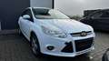 Ford Focus Easy 1,0 EcoBoost Weiß - thumbnail 8