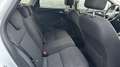 Ford Focus Easy 1,0 EcoBoost Weiß - thumbnail 10