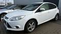Ford Focus Easy 1,0 EcoBoost Weiß - thumbnail 1