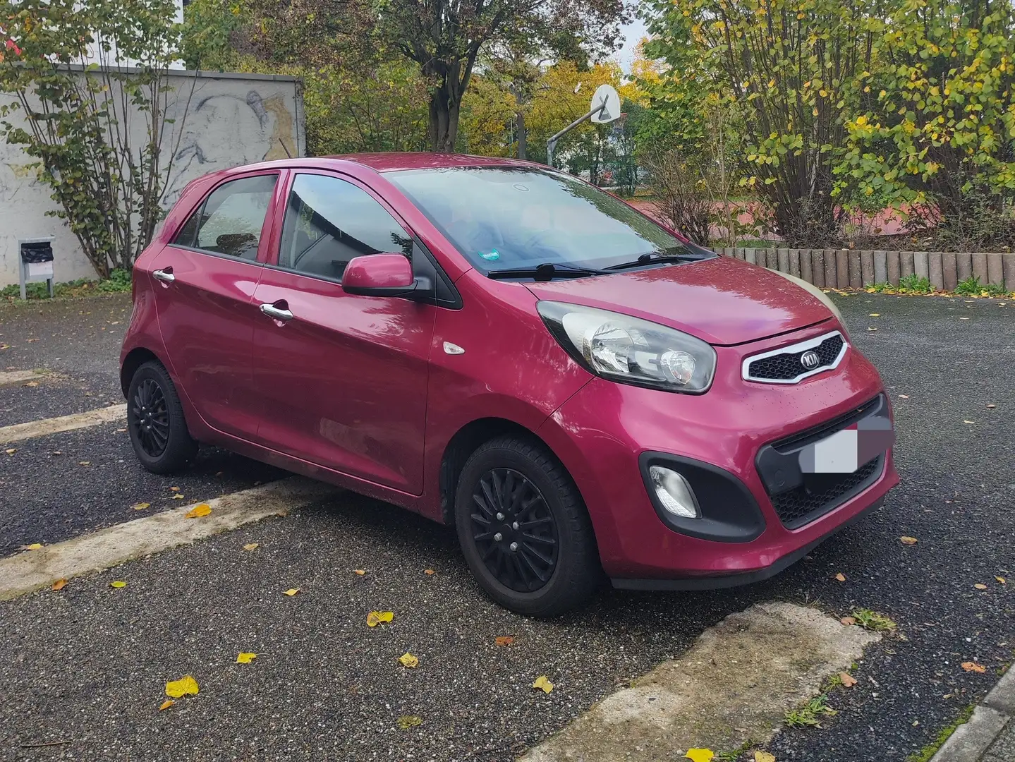 Kia Picanto Picanto 1.0 Klima, Bluetooth Violett - 1