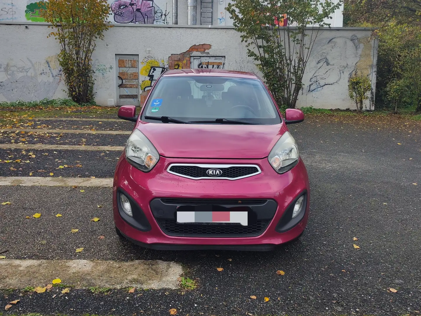 Kia Picanto Picanto 1.0 Klima, Bluetooth Violett - 2