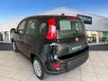 Fiat New Panda Panda III 2024 1.0 firefly hybrid s Schwarz - thumbnail 3