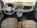 Fiat New Panda Panda III 2024 1.0 firefly hybrid s Schwarz - thumbnail 14