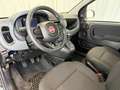 Fiat New Panda Panda III 2024 1.0 firefly hybrid s Schwarz - thumbnail 11