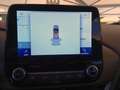 Ford Puma 1.0 ecoboost 125 CV H Titanium X audio premium B&O Schwarz - thumbnail 17
