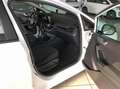 Ford Fiesta Fiesta 5p 1.1 Connected  E6 D-Temp Blanco - thumbnail 20
