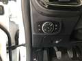 Ford Fiesta Fiesta 5p 1.1 Connected  E6 D-Temp Bianco - thumbnail 6