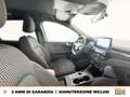 Ford Kuga 2.5 phev st-line 2wd 225cv cvt Gris - thumbnail 6
