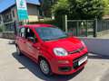 Fiat Panda Panda III 2021 1.0 firefly hybrid s Rosso - thumbnail 4
