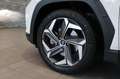 Hyundai TUCSON NX4 Prestige Line 1,6 CRDi 4WD 48V DCT Weiß - thumbnail 20
