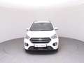 Ford Kuga 1,5 EcoBoost ST-Line Start/Stop Weiß - thumbnail 3