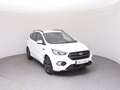 Ford Kuga 1,5 EcoBoost ST-Line Start/Stop Weiß - thumbnail 2