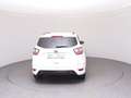 Ford Kuga 1,5 EcoBoost ST-Line Start/Stop Weiß - thumbnail 6