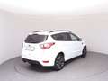 Ford Kuga 1,5 EcoBoost ST-Line Start/Stop Weiß - thumbnail 4