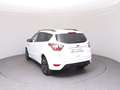 Ford Kuga 1,5 EcoBoost ST-Line Start/Stop Weiß - thumbnail 5