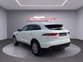 Jaguar F-Pace Pure Weiß - thumbnail 3