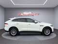 Jaguar F-Pace Pure Weiß - thumbnail 6