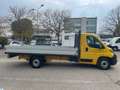 Fiat Ducato 2.2 MJTD 140cV CASSONE FISSO MAXI Giallo - thumbnail 4