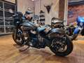 Indian Chief Bobber  "Jack Daniel's No. 63 + 500€/2,99% Gris - thumbnail 12
