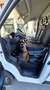 Fiat Ducato 35 2.3 MJT 140CV PM-TN Furgone passo lungo TETTO A Blanc - thumbnail 11