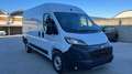Peugeot Boxer nuovo Boxer L2h2 335 2.2 BlueHDi 140 cv Bianco - thumbnail 3