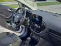 Ford Fiesta 5p 1.0 ecoboost Titanium 100cv auto Bianco - thumbnail 6