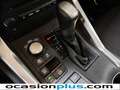 Lexus NX 300 300h Executive 4WD Blanco - thumbnail 5