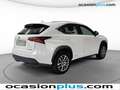 Lexus NX 300 300h Executive 4WD Blanco - thumbnail 4