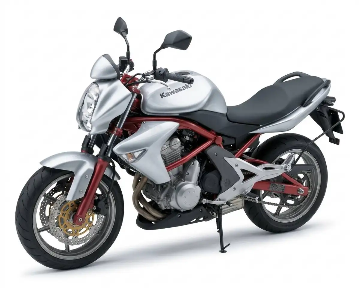Kawasaki ER