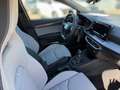 SEAT Ibiza FR 1.0 TSI 95PS 2xKlima Facelift Kam. Grau - thumbnail 16