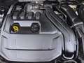 Volkswagen T-Roc 1.5 TSI DSG SPORT NAVI AHK KLIMA PDC Grau - thumbnail 17