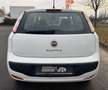 Fiat Punto Evo MyLife Weiß - thumbnail 5