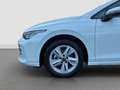 Volkswagen Golf Life 1.5 eTSI 115 PS DSG KAMERA ACC Harman Kardon Weiß - thumbnail 17