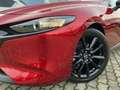 Mazda 3 2.5L e-SKYACTIV G 6AT FWD Homura +KAMERA+NAVI+ Rot - thumbnail 24