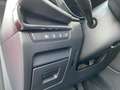 Mazda 3 2.5L e-SKYACTIV G 6AT FWD Homura +KAMERA+NAVI+ Rot - thumbnail 21